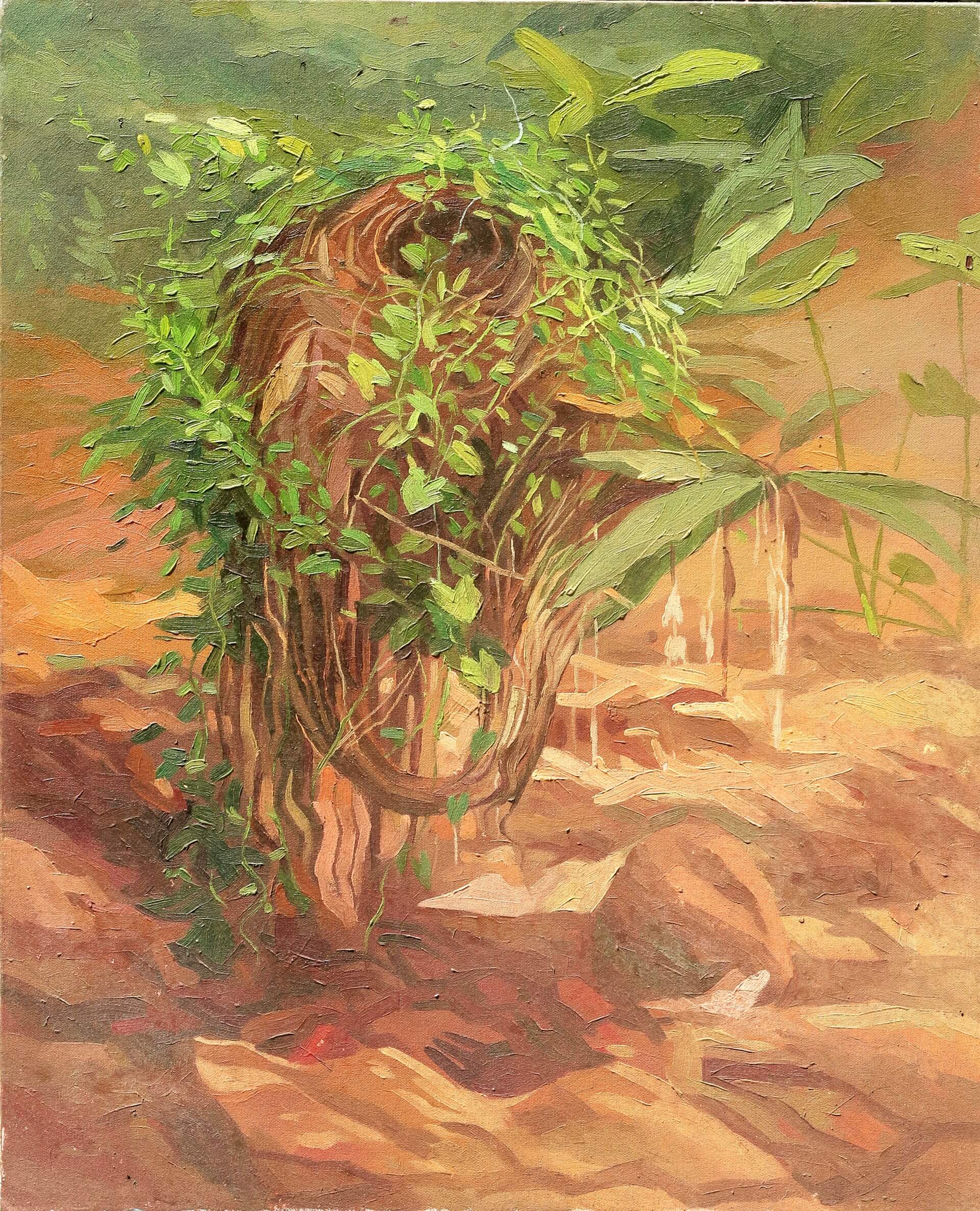 Study of bush